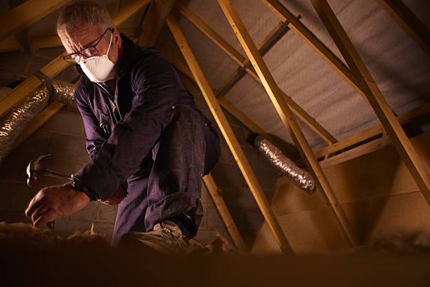 Best Garage Insulation Installation  in Mmaduke, AR